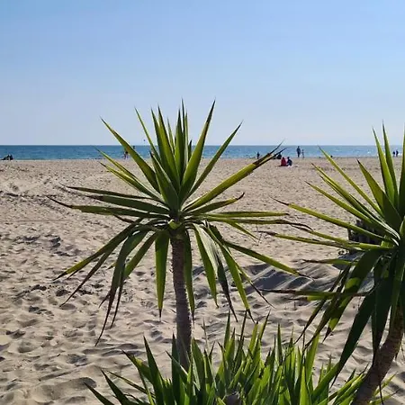 Joli T2 Avec Jardin Richelieu - 6 Personnes *