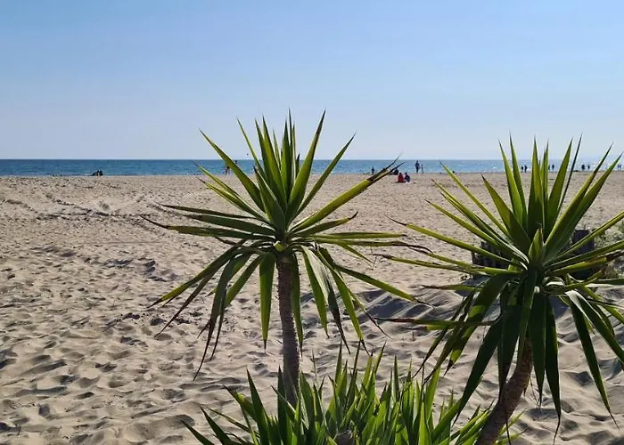 Joli T2 Avec Jardin Richelieu - 6 Personnes *